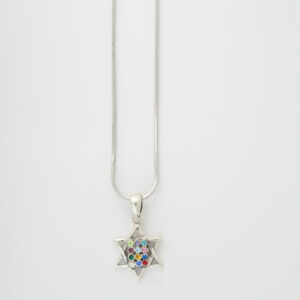 Star of David-Hoshen necklace