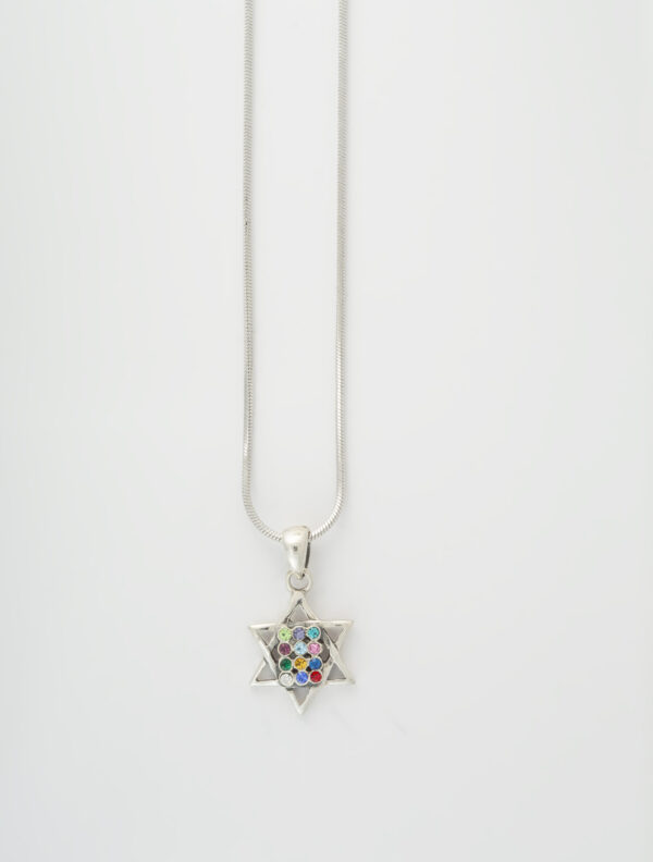 Star of David-Hoshen necklace