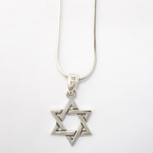 Delicate Star of David necklace