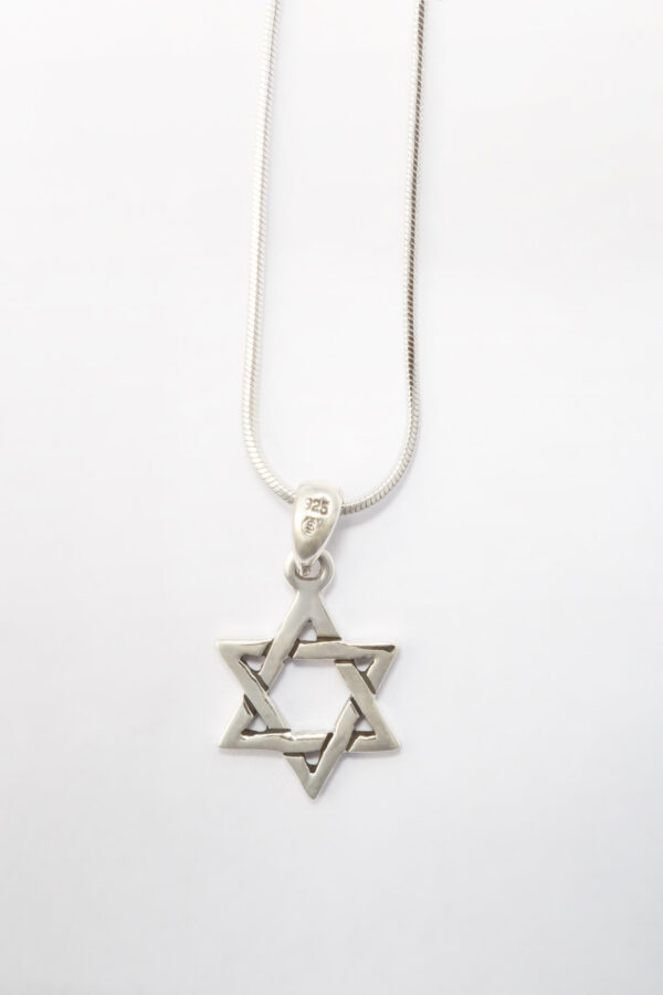 Delicate Star of David necklace